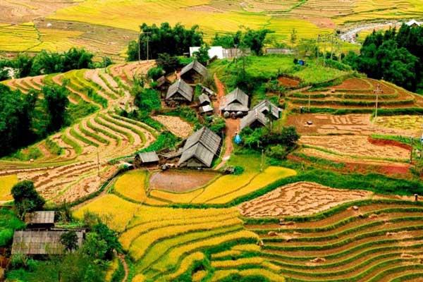 Terraced Rice Fields & Hill Tribes